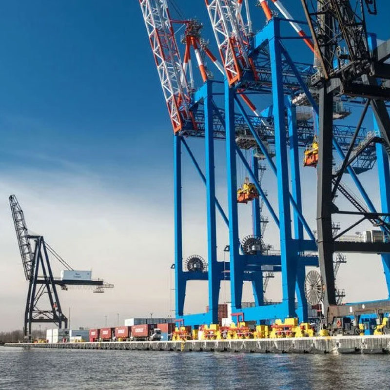 large cranes by the water